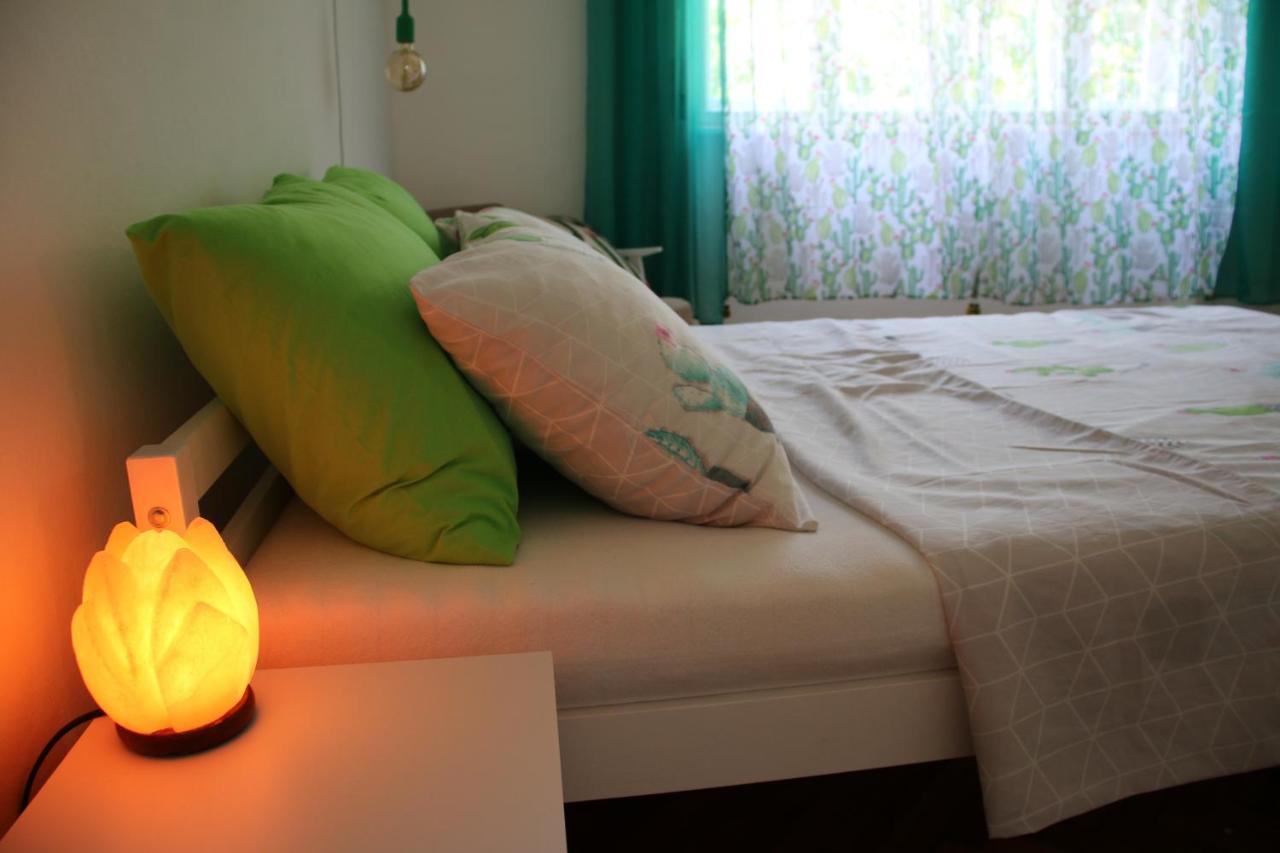 Green Cactus Rooms - Unique And Cozy House Senta Экстерьер фото