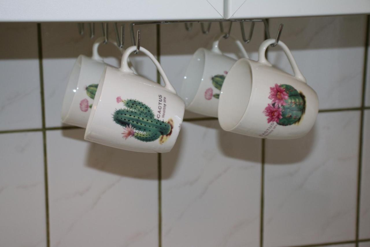 Green Cactus Rooms - Unique And Cozy House Senta Экстерьер фото