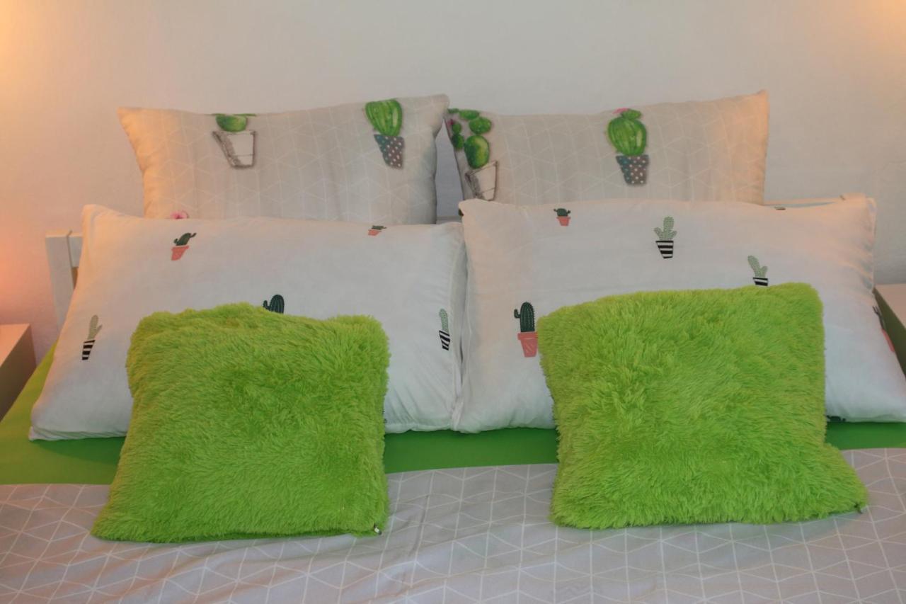 Green Cactus Rooms - Unique And Cozy House Senta Экстерьер фото
