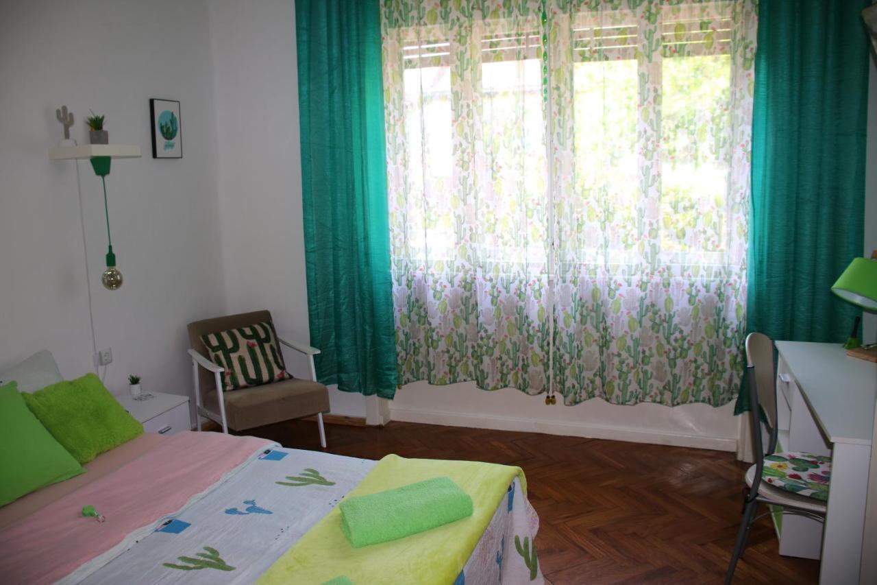 Green Cactus Rooms - Unique And Cozy House Senta Экстерьер фото