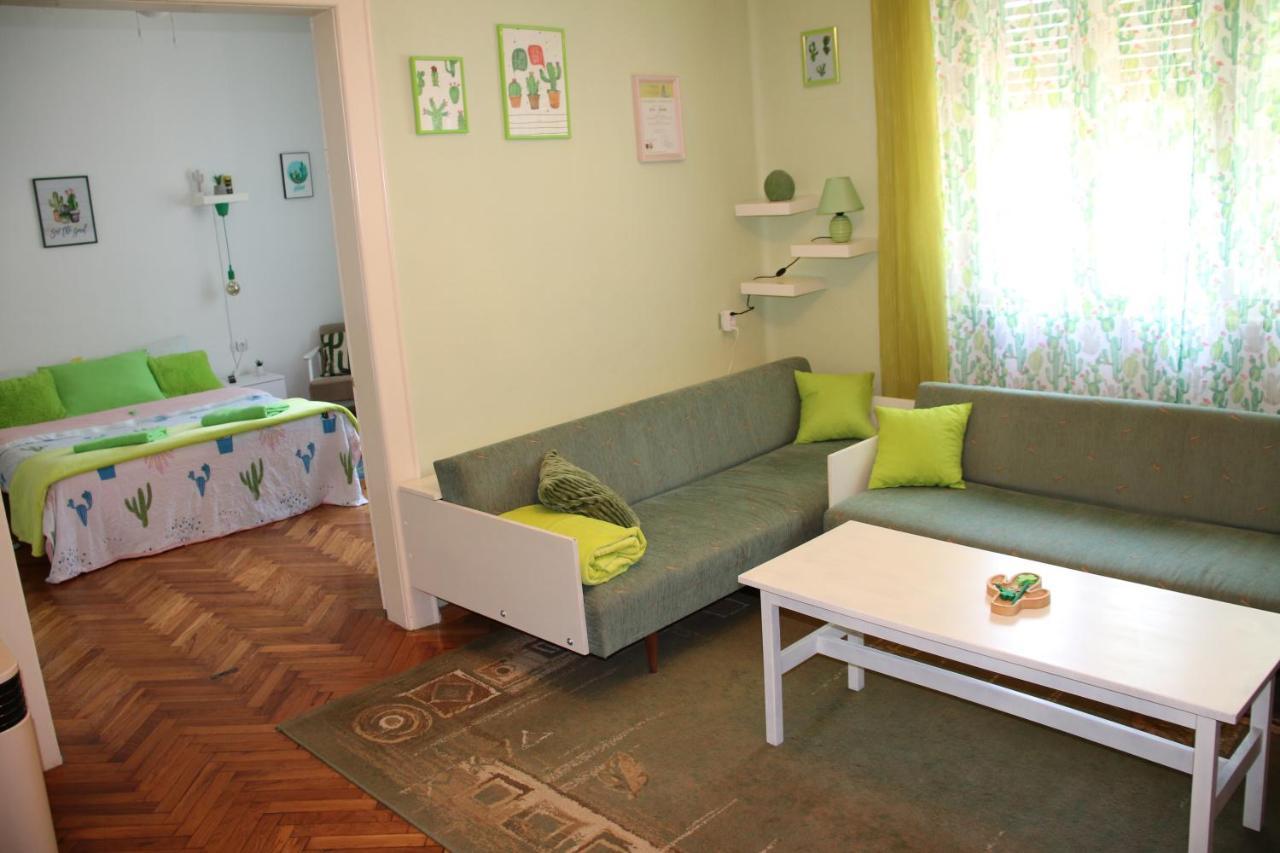 Green Cactus Rooms - Unique And Cozy House Senta Экстерьер фото