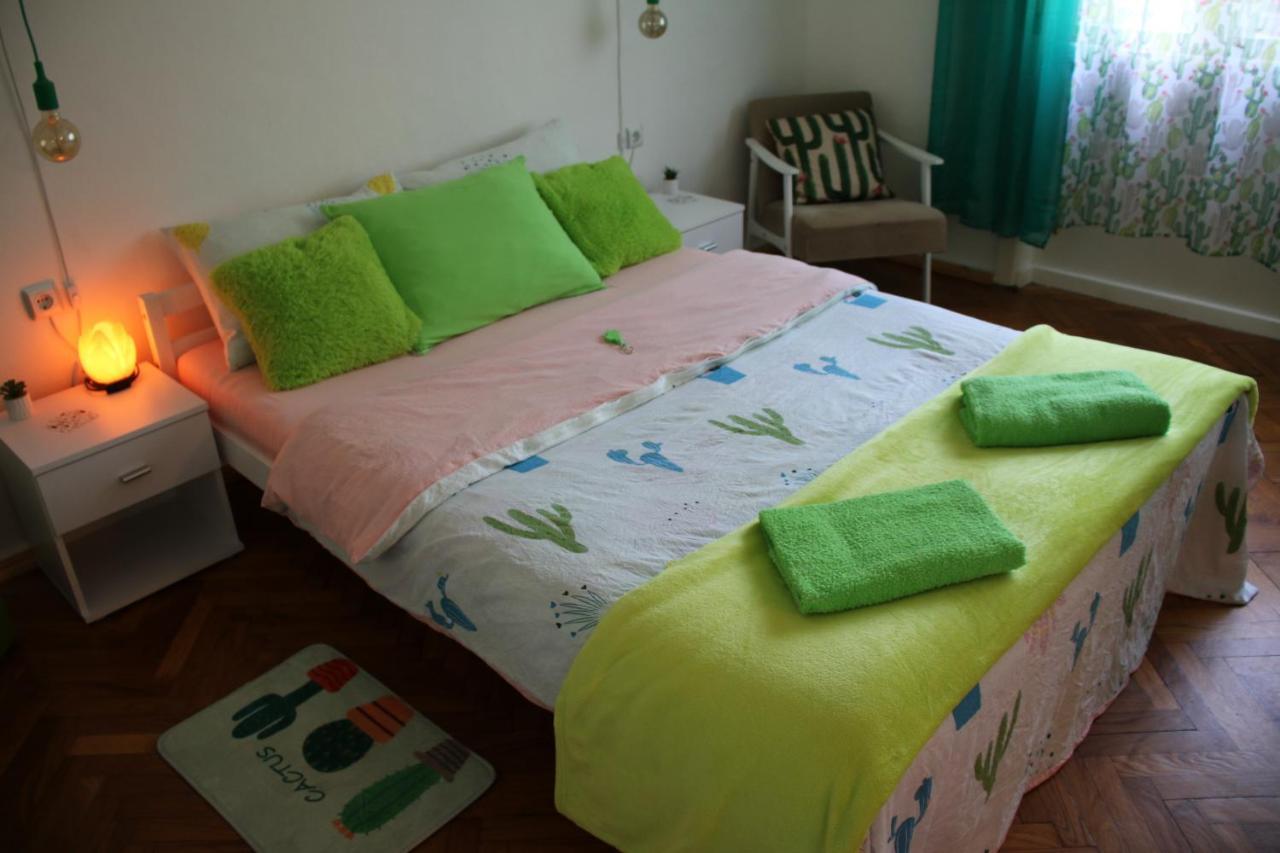 Green Cactus Rooms - Unique And Cozy House Senta Экстерьер фото