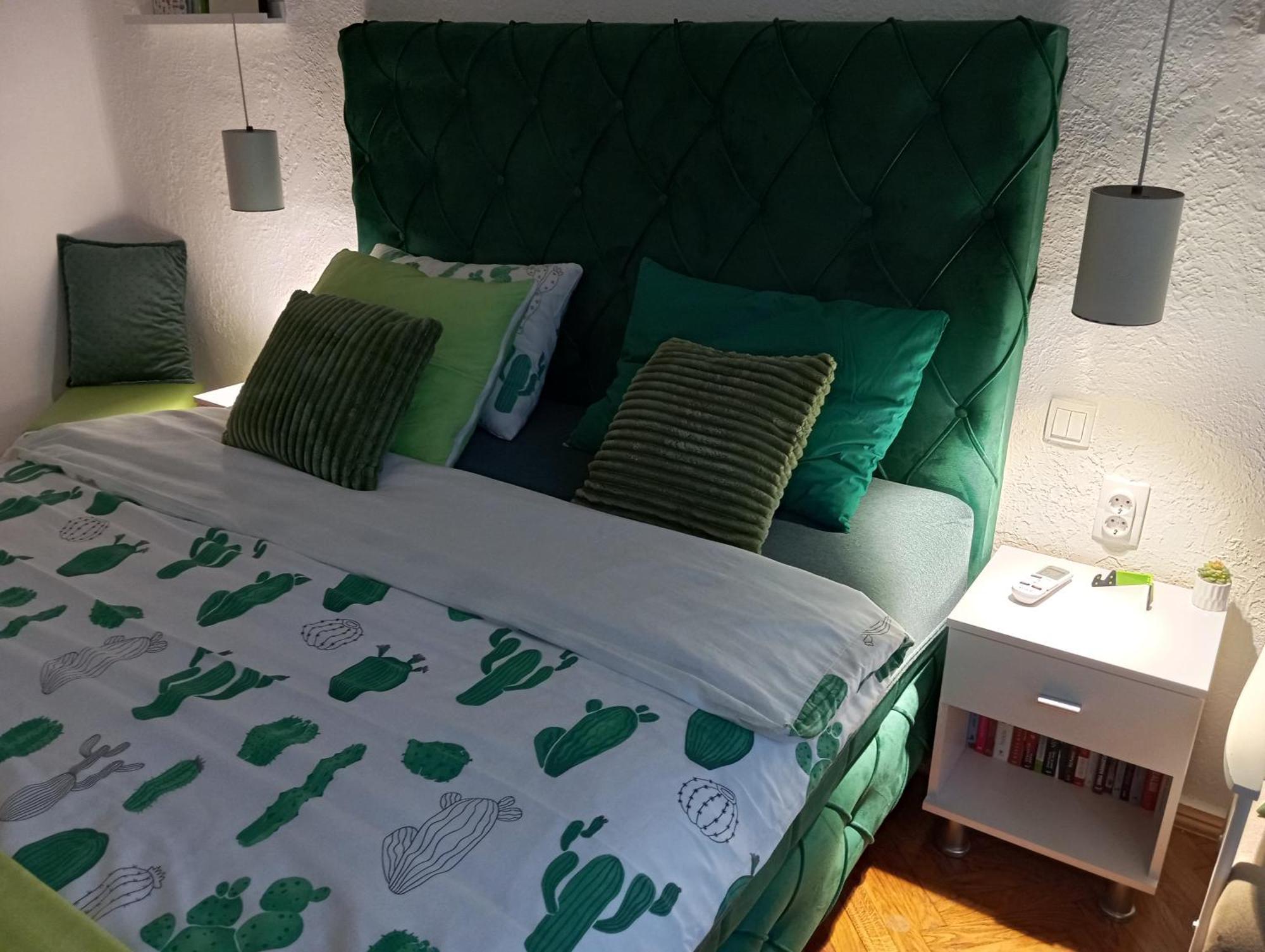 Green Cactus Rooms - Unique And Cozy House Senta Экстерьер фото