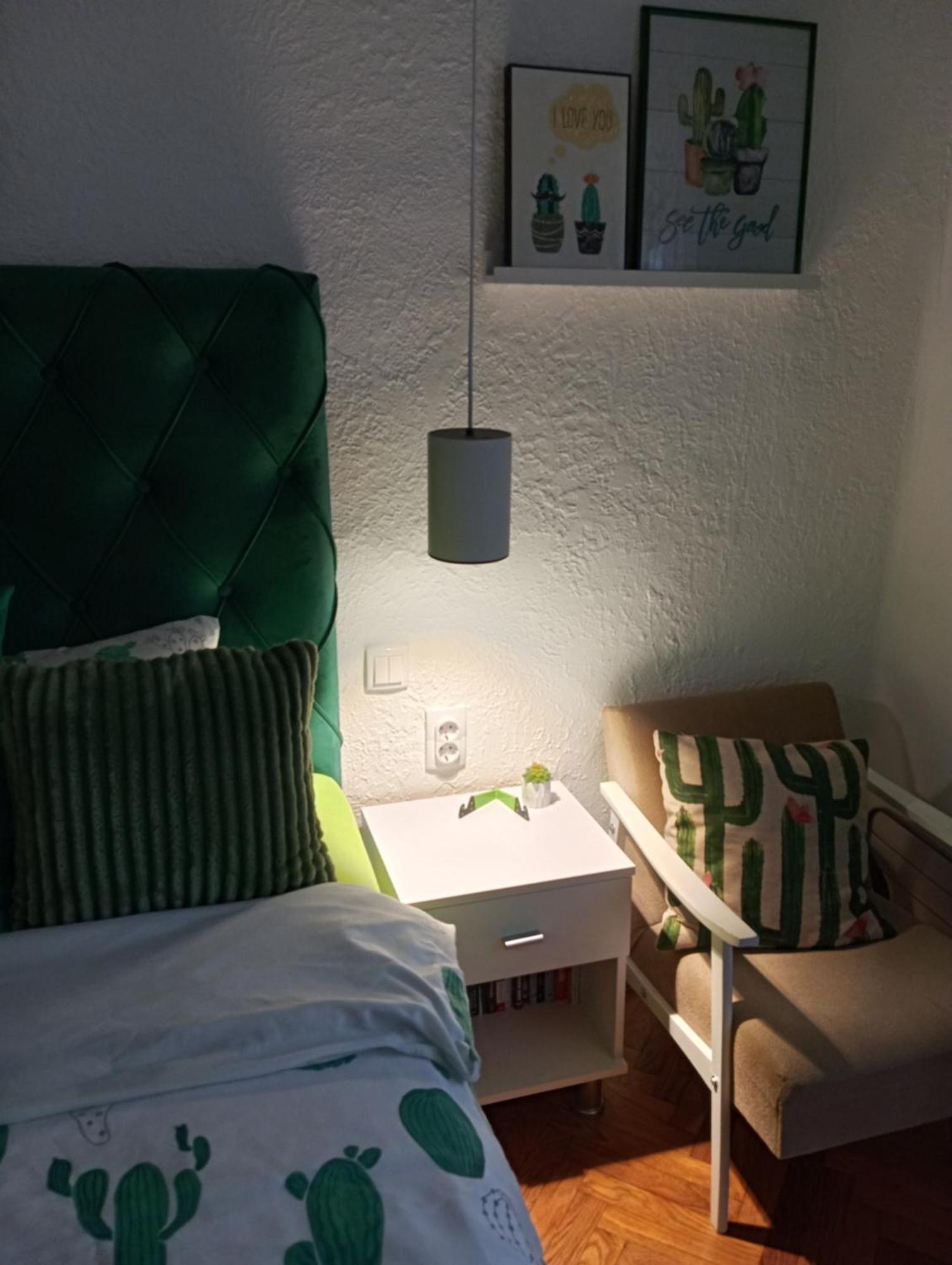 Green Cactus Rooms - Unique And Cozy House Senta Экстерьер фото
