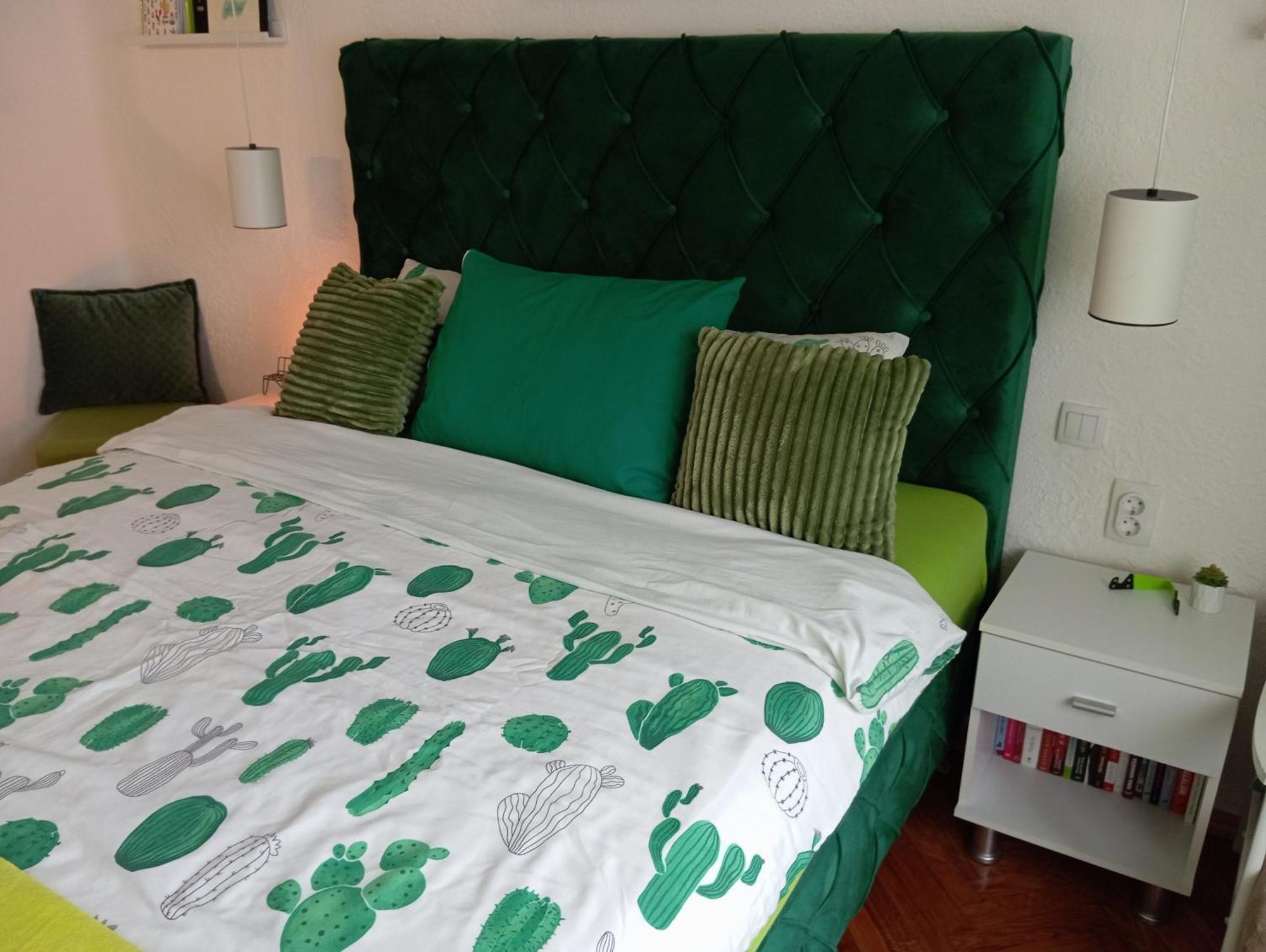 Green Cactus Rooms - Unique And Cozy House Senta Экстерьер фото