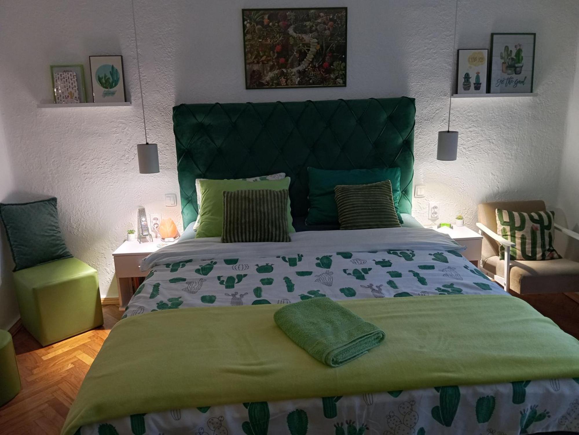 Green Cactus Rooms - Unique And Cozy House Senta Экстерьер фото